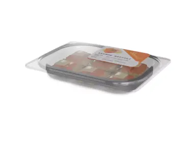 Salmon and salmon products Salmon Ravioli 3D model