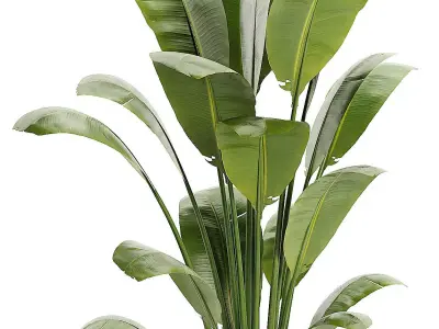 Artificial Bird Of Paradise Plant Tree Low-poly 3D model