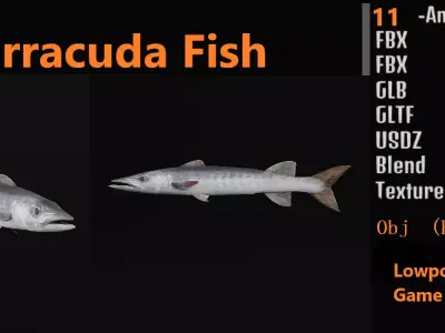 Barracuda Fish Low-poly 3D model purchase