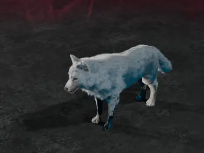 Wolf white 3D model