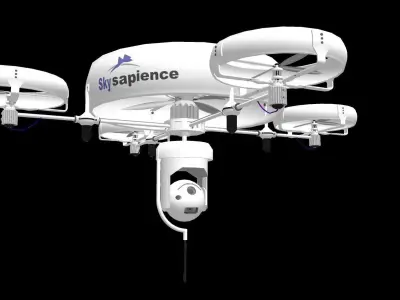 Sky sapience 3D model