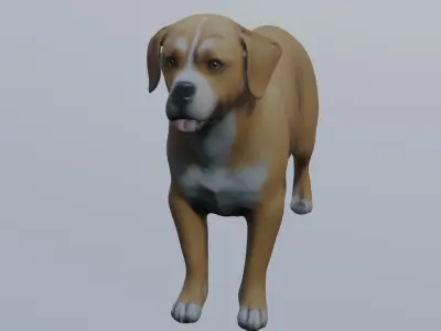 Realistic Dog 3D Model - Unrigged 3D model