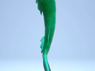 Realistic Mermaid Tail 3D model