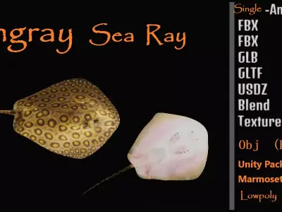 Stingray Low-poly 3D model 5
