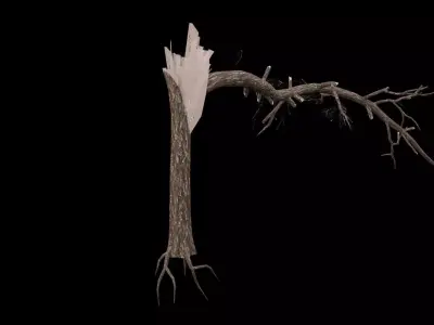 Realistic Snag Tree Low-poly 3D model purchase