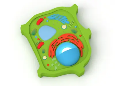 Plant Cell v4 3D model