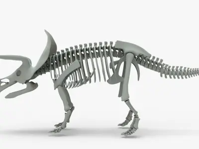 Triceratops Rigged Skeleton Low-poly 3D model