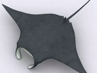 3DRT - Sealife - Manta ray Low-poly 3D model