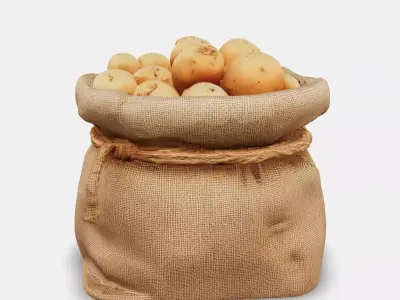 Woven Potato Sack Low-poly 3D model