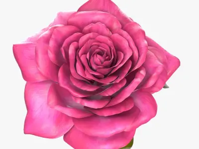 Rose  purchase 3D model