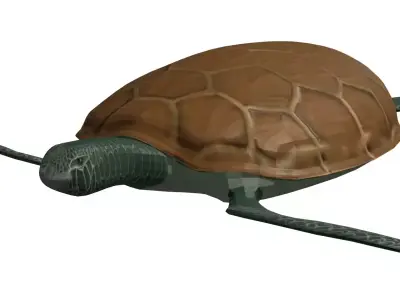 Sea Turtle 3D model buy
