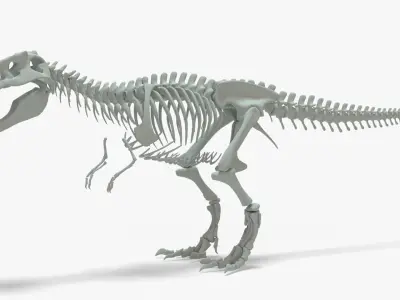 Tyrannosaurus Rex Rigged Skeleton Low-poly 3D model