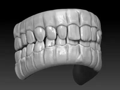 Teeth human mouth with Low-poly 3D model