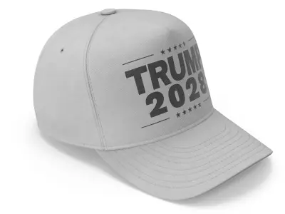 Trump 2028 Gray Cap 3D model