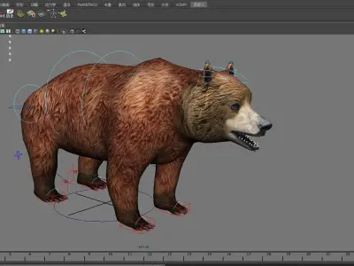 mammal wildlife zoo animal nature danger bear male short  3D model