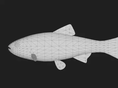 Carp fish Low-poly 3D model
