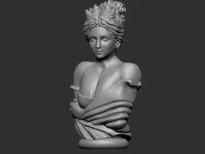 female bust 3D print model