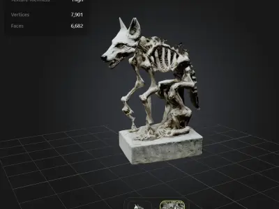  FREE Skeletal Horror Pack Free low-poly 3D model