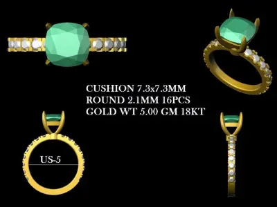 Ring Package 12 3D print model
