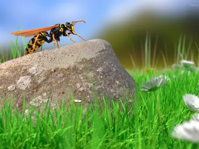 Paper Wasp Rigged for Maya 3D model