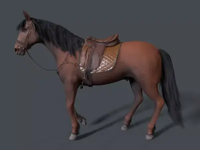 horse Low-poly 3D model 16
