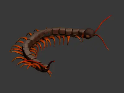 Centipede 3D model purchase
