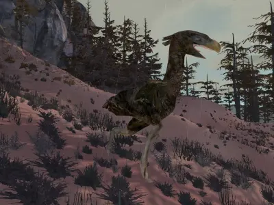 Terror Bird Free low-poly 3D model