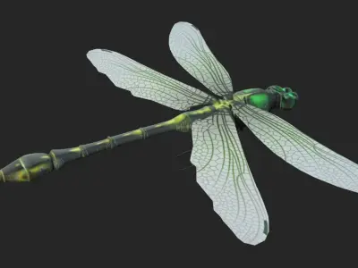Foring dragonfly Low-poly 3D model