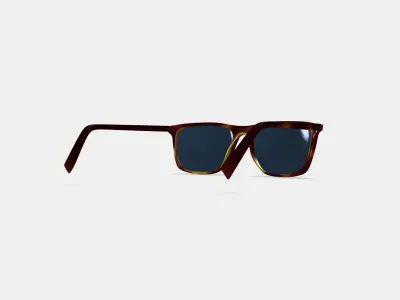 Fletcher Sunglasses in Rye Tortoise 3D model