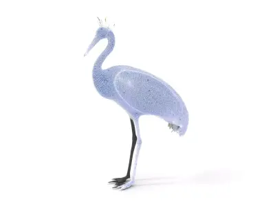 Elegant Crowned Crane model pack Low-poly 3D model