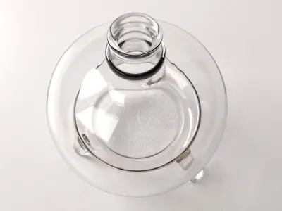 Fly Bottle 3D model