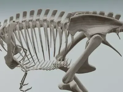Realistic T-Rex Dinosaur Skeleton 3D Model Low-poly 3D model