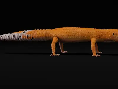  4K Leopard Gecko Orange 