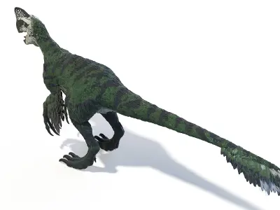 Oviraptor Static 3D model