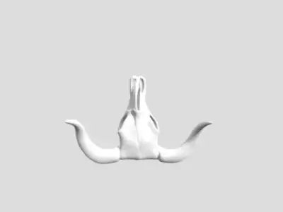 Skull 3D model purchase