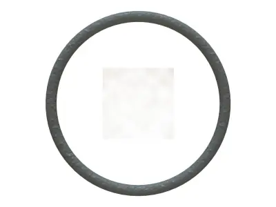 O Ring Vedabras 12814 3D model