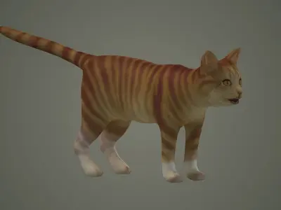cats siamese tabby orange kitty animals puppy cat mammal  3D model