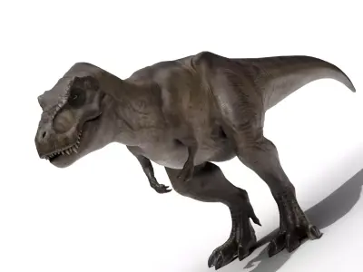 Tyrannosaurus Rex Low-poly 3D model 9