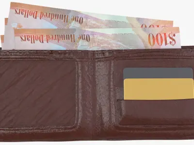 Cayman Islands British 100 Dollar Wallet Money Purse 3D model