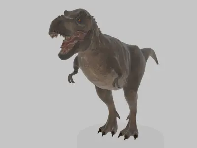 Tyrannosaurus Rex 3D Model 3D model