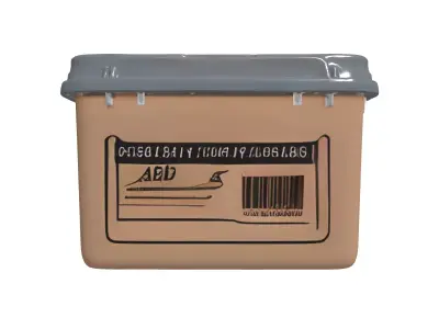 Storage Box with Cardboard Insert Low-poly 3D model