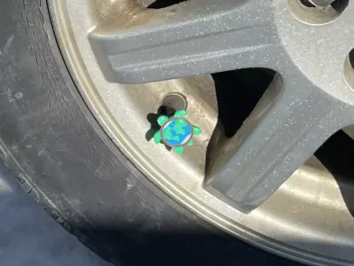 World Turtle Schrader Valve Cap Mythic Globe Tire Accent  3D print model