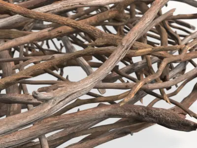  Dry Brushwood Pile Brown 