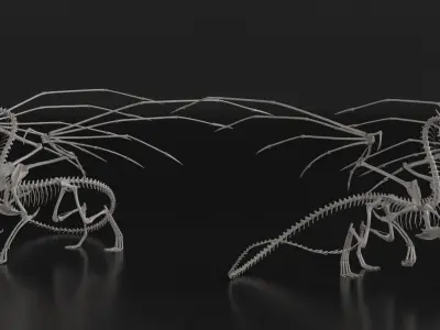 Dragon Skeleton Posed  purchase 3D model