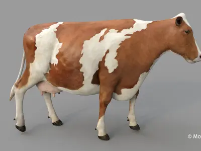 Cow PRO Ayrshire 3D model