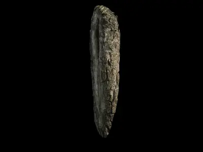 Anydrafts Salix matsudana Burl 11 Low-poly 3D model