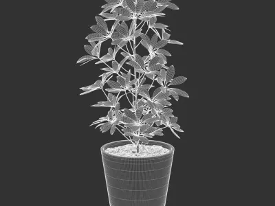  Dwarf Umbrella Tree Potted Plant Model  purchase
