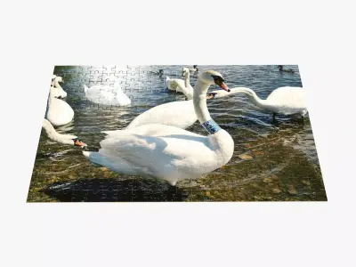 280-piece jigsaw puzzle  3D model