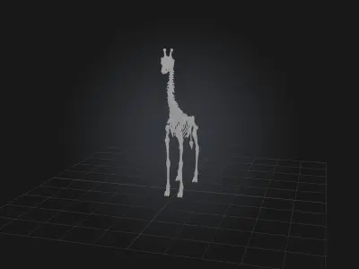 Realistic Giraffe Skeleton Model Low-poly 3D model