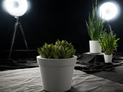  Baby Agave Plant Succulent Potted Plant Model  buy